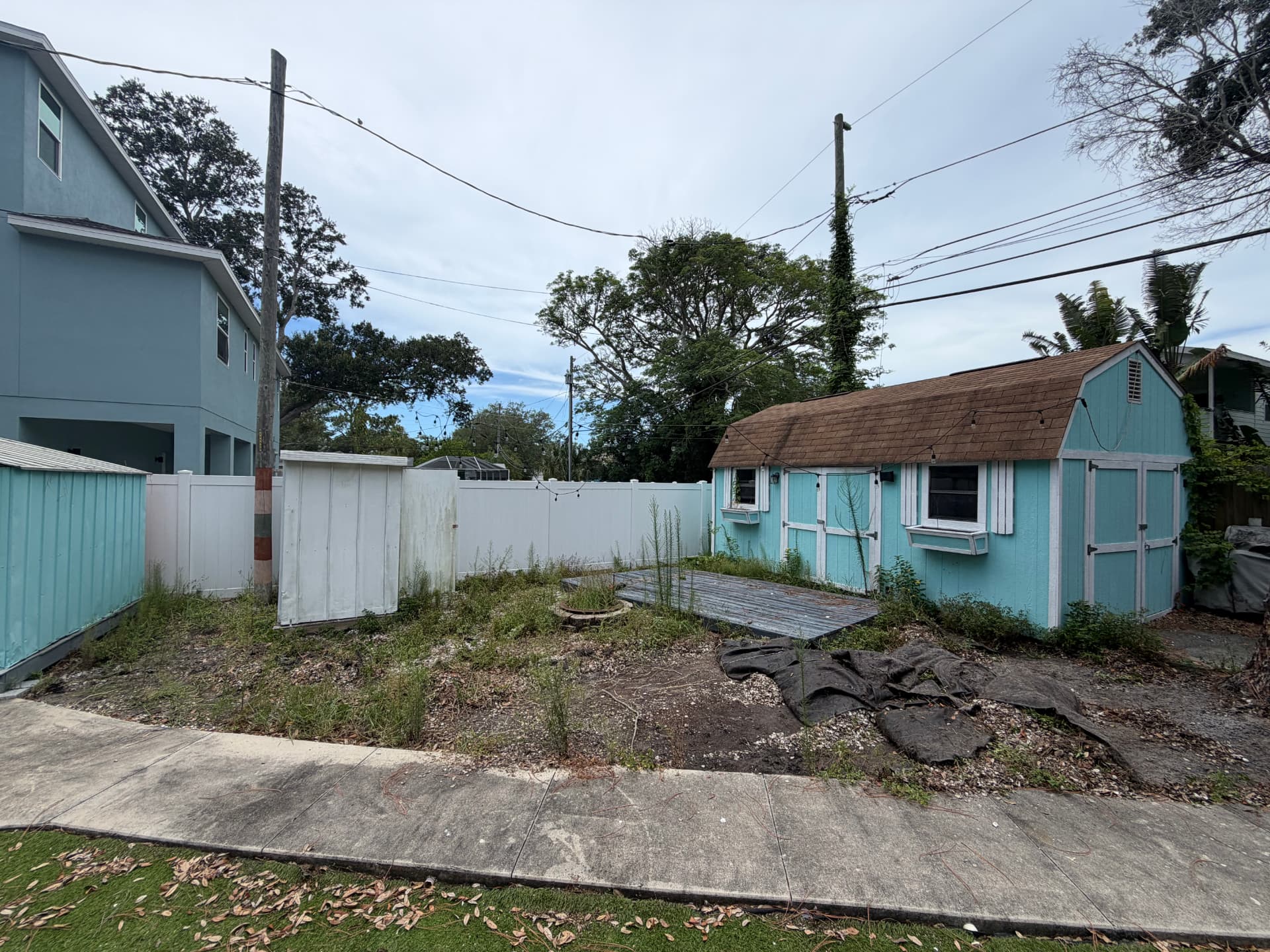 Overgrown backyard with weeds and debris before cleanup